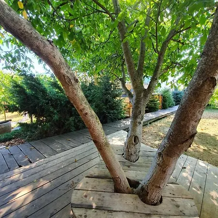 Pensiunea Daiana Πανσιόν 3*