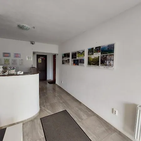 Πανσιόν Pensiunea Daiana 3*