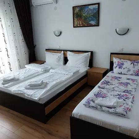 Pensiunea Daiana Πανσιόν