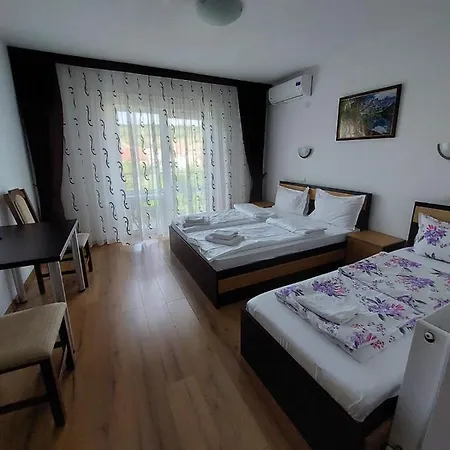 Pensiunea Daiana 3* Τούρντα