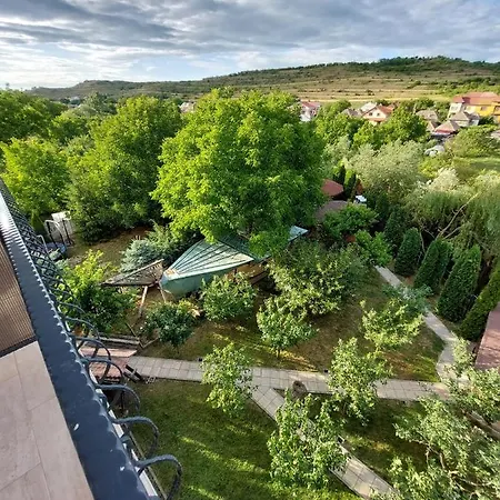 Πανσιόν Pensiunea Daiana 3*