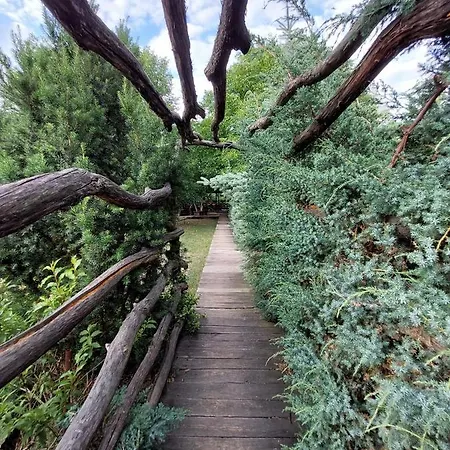 Pensiunea Daiana Τούρντα