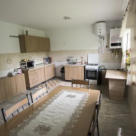 Πανσιόν Pensiunea Daiana 3*