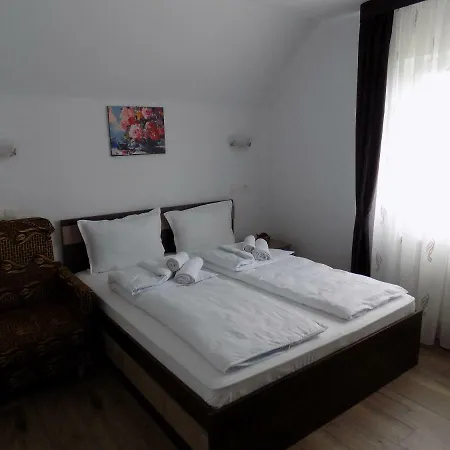 Πανσιόν Pensiunea Daiana 3*